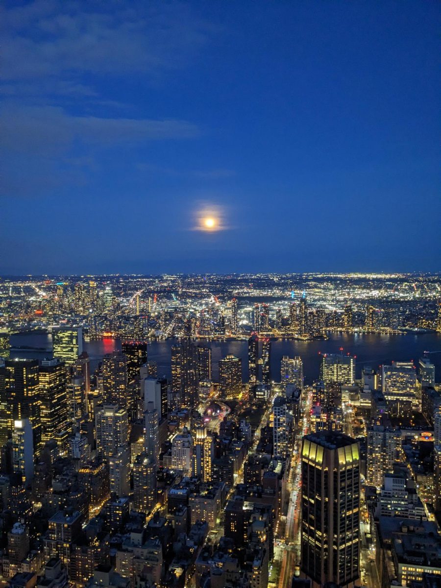 83rd floor of the Empire State Building looking below on the city